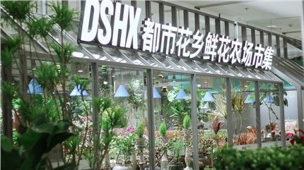 【都市花鄉(xiāng)】植耕長(zhǎng)沙22年，讓人們的生活更加美好